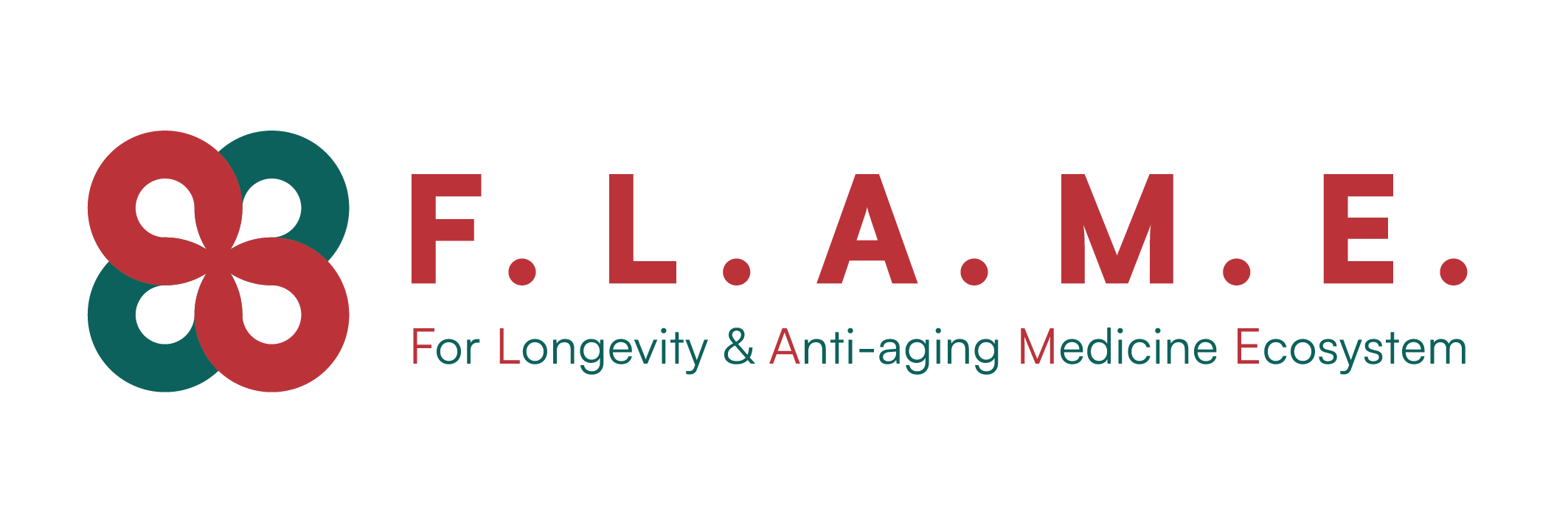 F.L.A.M.E